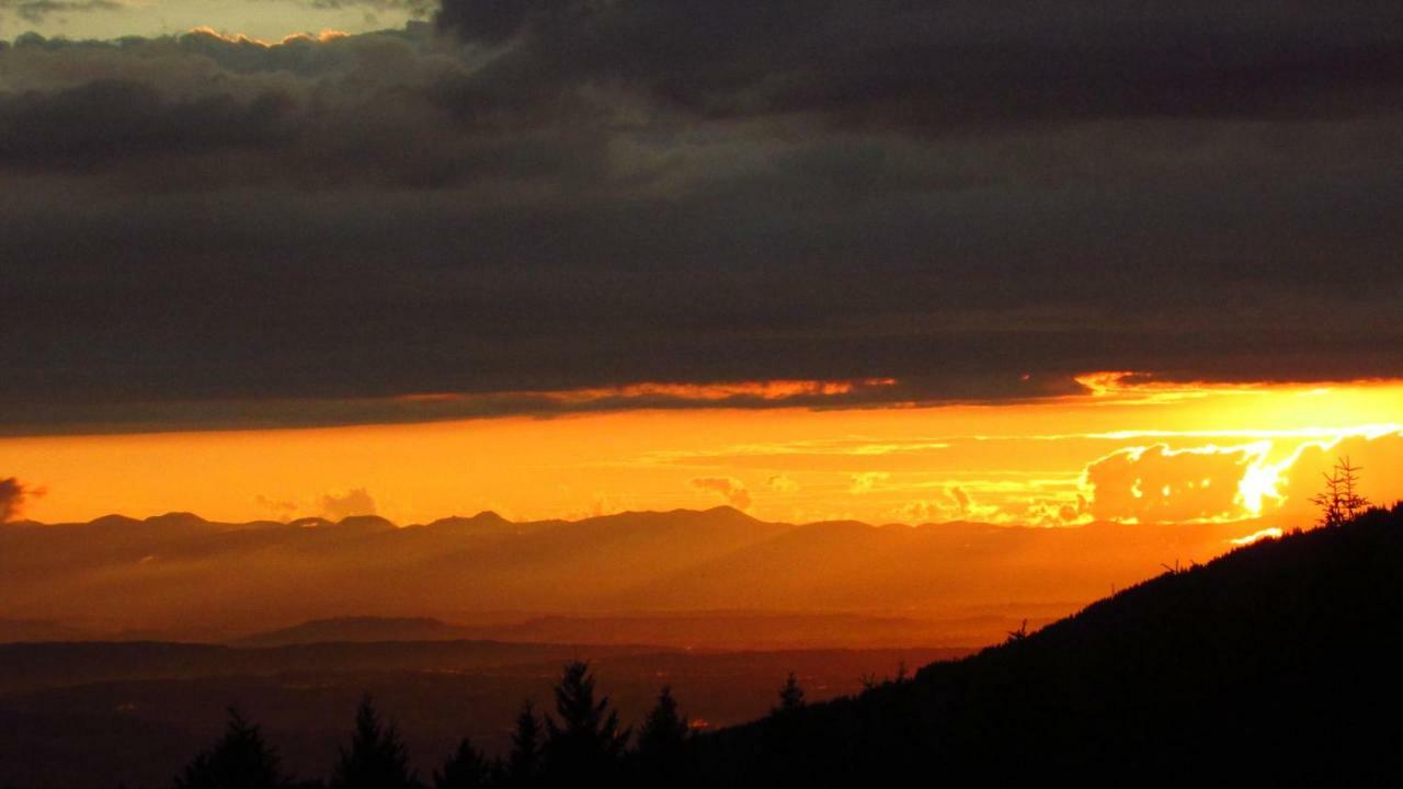B&B Les Paddocks Vollore-Montagne Dış mekan fotoğraf